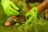 Einweghandschuhe 100 Stück Lime Nitrilhandschuhe Produktbild-Vorschau 8