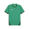 Puma Teamfinal Trikot Kurzarm Herren - Grün  | Größe: L Produktbild-Vorschau 1