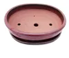 Bonsai-Schale mit Untersetzer, Größe 6 – rot – oval – Produktbild-Vorschau 2