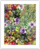 Poster - Poster ohne Rahmen - blume sommer natur - 40x50 cm Produktbild-Vorschau 1