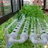 Hydroponic system growing plants on a balcony with buildings and trees in the background. Podgląd zdjęcia produktu