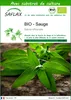 SAFLAX  -- Sauge - 60 graines - Avec substrat - Salvia Voir les images du produit 1