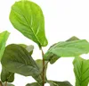 vidaXL Umelý strom Ficus 48 listov 165 cm zelený Náhľad obrázku produktu 3