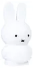 Atelier Pierre Miffy Spardose Pur Produktbild-Vorschau 2