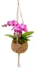 Kokodama Phalaenopsis (L) Náhľad obrázku produktu 4