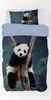 Panda Bär - Bettwäsche-Set, Pandabär 135x200 & 80x80 Produktbild-Vorschau 1