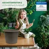 MePla - Set - Pflanzkübel Cylindro ø 50 + Untersetzer ø 49 Produktbild-Vorschau 6