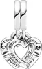 A close-up studio shot of a silver Pandora charm. Podgląd zdjęcia produktu