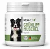 REAVET Grünlippmuschel Kapseln 100 Stück Hund hochdosiert - Produktbild-Vorschau 1
