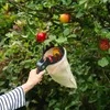 Maximex Obstsammler XL mit Teleskopstiel, 270º-Knickgelenk Produktbild-Vorschau 9