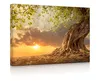 lightbox multicolor | Beleuchtetes Wandbild | Verwurzelter Produktbild-Vorschau 1