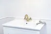 A close-up shot of a white sink with a retro-style antique brass faucet. Anteprima dell’immagine prodotto