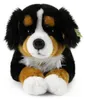 Großer Plüschhund, Berner Sennenhund, 61 cm, Produktbild-Vorschau 9