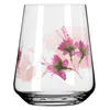 Sommersonett Universalglas-Set #1, #2 Von Doro Von Rüden Produktbild-Vorschau 5