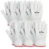 6 Paar Arbeitshandschuhe aus Ziegenleder Gr. 11 Handschuhe Produktbild-Vorschau 1