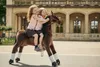 Happy Ponnie XL PRO Productafbeelding-voorbeeld 2