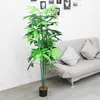 Schefflera Arboricola Plante Arbre Artificielle Artificiel Voir les images du produit 3