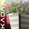 KADAX Blumenkasten mit Untersetzer "Cati", aus Kunststoff, Produktbild-Vorschau 5