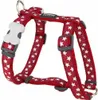 Hundegeschirr Red Dingo Style Rot Stern 30-48 cm Produktbild-Vorschau 1