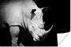 MuchoWow® Poster Rhinozeros - Tier - Porträt 180x120 cm - Produktbild-Vorschau 1