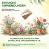 Power Florfliegenlarven gegen Blattläuse und Wollläuse – 2 Produktbild-Vorschau 3
