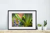 MuchoWow® MuchoWow® Gerahmtes Poster Versteckter Produktbild-Vorschau 4