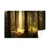 MuchoWow® Poster Wald - Bäume - Sonne 120x80 cm - Bilder Produktbild-Vorschau 2