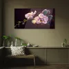Coloray Bild aus Acryl 100 cm x 50 cm - Gehärtetes Acryl Produktbild-Vorschau 3