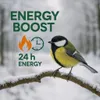 A great tit bird perched on a snow-covered branch with text overlay indicating 'ENERGY BOOST' and '24h ENERGY'. Anteprima dell’immagine prodotto