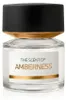 BMW The Scent of Amberness Eau de Parfum 100 ml Produktbild-Vorschau 2