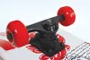 Schildkröt Skateboard Wolf 31 Zoll - Skateboard für Kinder Produktbild-Vorschau 8