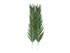 EUROPALMS Kokos-Königspalmwedel, künstlich, 210cm Produktbild-Vorschau 1