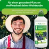 Purgrün -Weintrauben-Dünger 1 Liter Produktbild-Vorschau 2