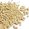 5 kg Kirschkerne Kirschsteine lose ohne Chemie gereinigt Produktbild-Vorschau 1