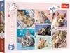 TREFL PUZZLE 100 W kocim świecie 16420 Náhled obrázku produktu 1