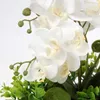 Unyqoos® Umelá orchidea (Phalaenopsis) – realistická biela Náhľad obrázku produktu 3