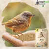 A bird is perched on a hand holding birdseed, with a bag of birdseed in the background. Produktbild-Vorschau