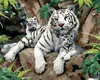 Zuty - Malen nach Zahlen - WEISSER TIGER MIT JUNGEN AUF Produktbild-Vorschau 1