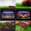 Neo Soil Plant No CO2 - Substrat für ein Pflanzenaquarium Produktbild-Vorschau 4