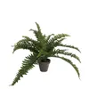 Mica Decorations Kunstliche Pflanze - Farn - grun - im Topf Produktbild-Vorschau 9