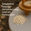 A pile of shelled sunflower seeds on a gray surface, with a wooden bird feeder in the background and text overlay. Produktbild-Vorschau