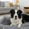 A border collie dog is lying in a pet bed in a living room. Anteprima dell’immagine prodotto