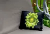 MuchoWow® Outdoor Kissen - Eine Nahaufnahme der Produktbild-Vorschau 2