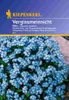 Kiepenkerl Profi-Line Vergissmeinnicht-Samen Heavenly Blue Produktbild-Vorschau 4