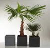 Scheurich 240/30 Pflanzgefäß C-Cube Stony Black - 28,5 cm x Produktbild-Vorschau 13