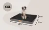 Legowisko ortopedyczne XXL Dogeste 100x90 cm materac ze Podgląd zdjęcia produktu 6