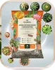 Blumenerde für Kakteen und Sukkulenten 5l - Optimale Produktbild-Vorschau 2