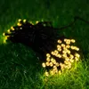 A string of solar-powered LED lights coiled on green grass. Produktbild-Vorschau