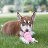 kauspielzeug Puppy 10 cm Gummi rosa Produktbild-Vorschau 8