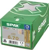 SPAX vite di regolazione Flako 6 x 70 T-STAR+ T30 4CUT Anteprima dell’immagine prodotto 1